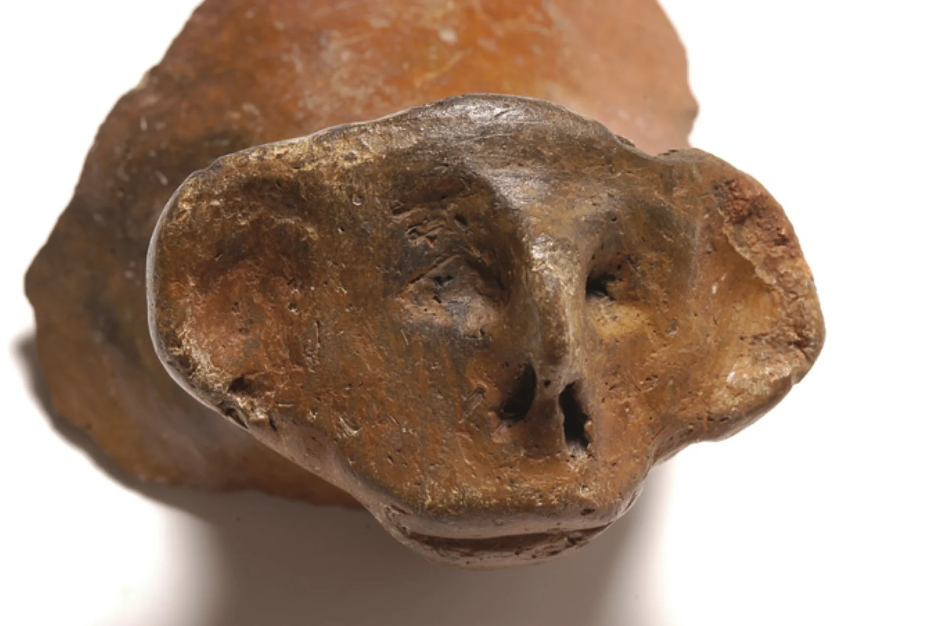 Говрлево зооморфен сад