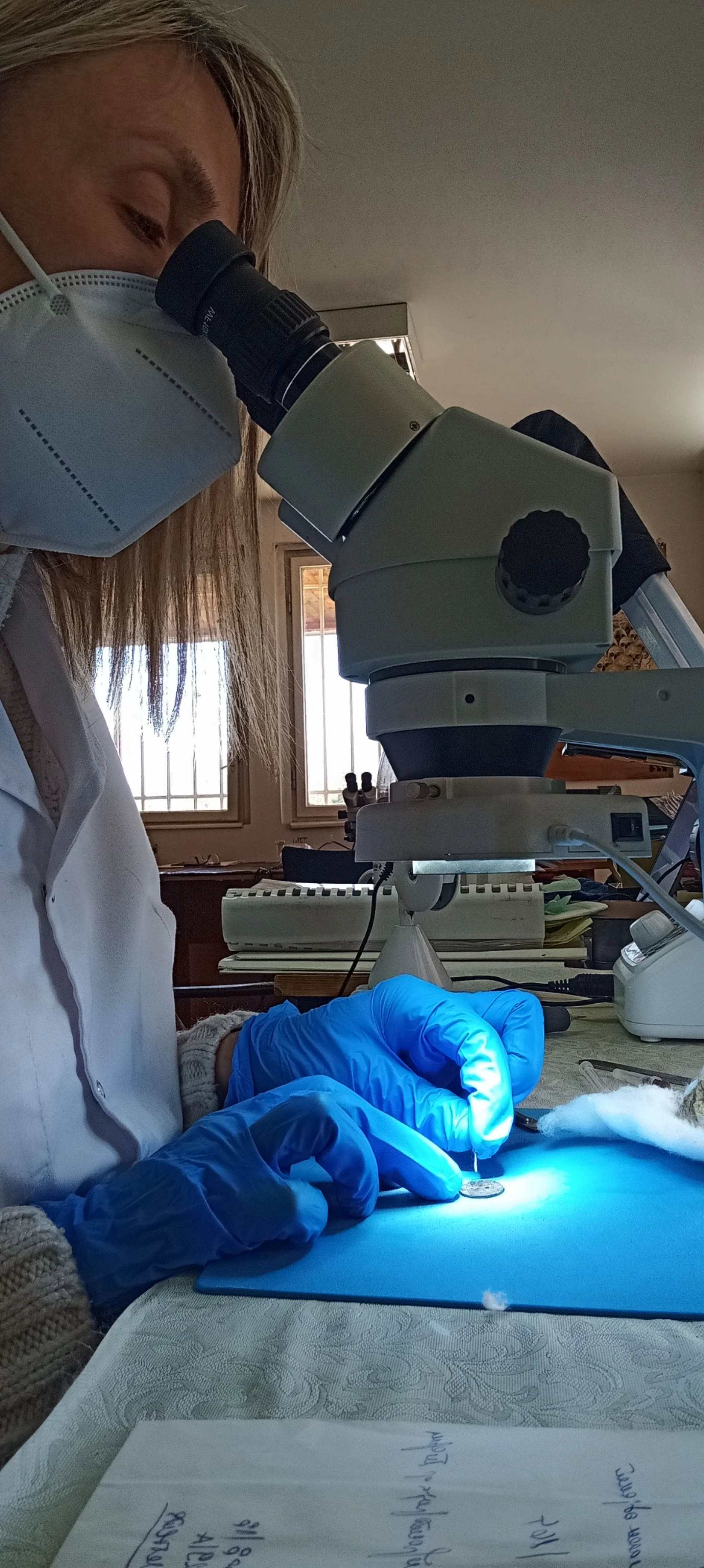 Одделение за конзервација