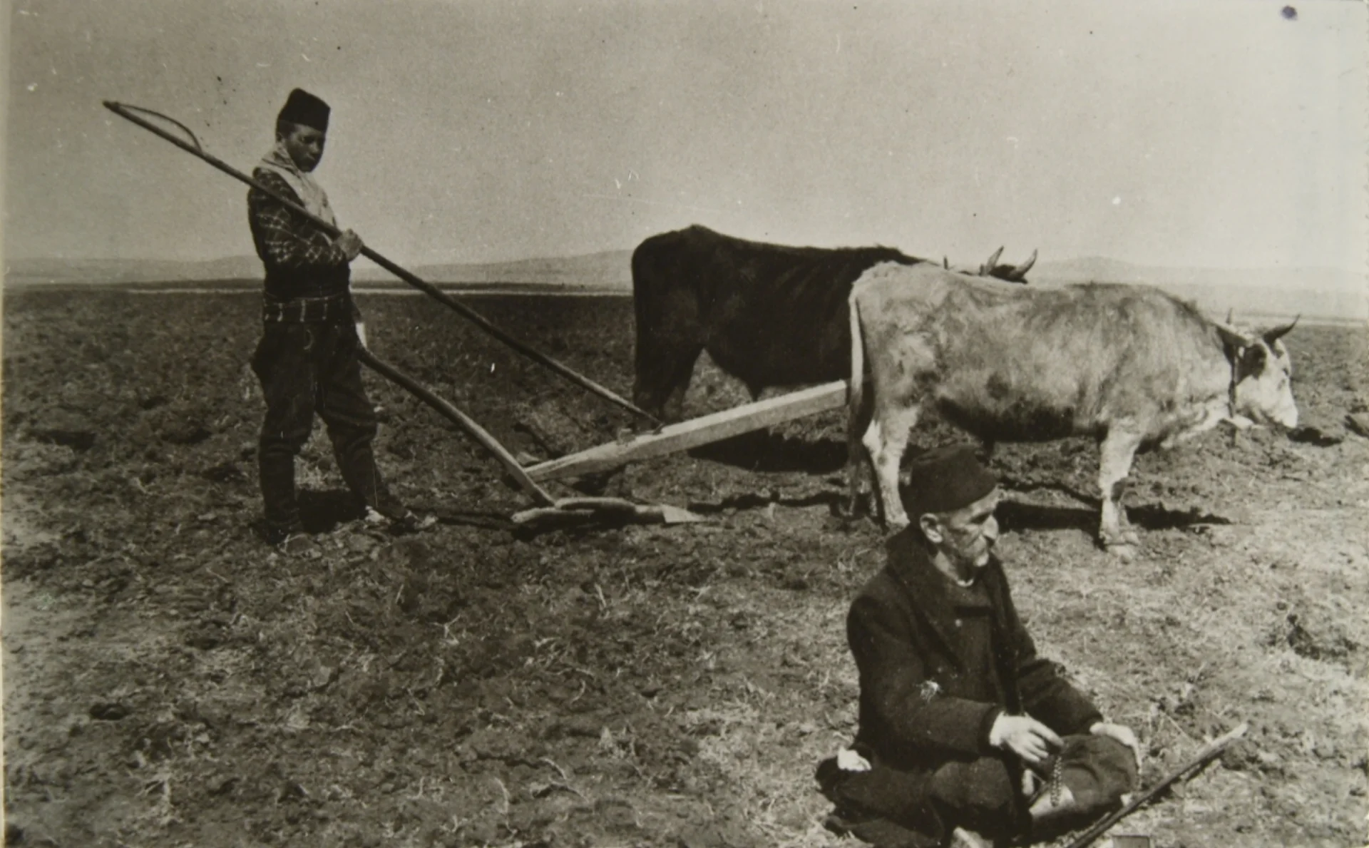 Орање со плуг во с.Бардовци, почеток на 20 век