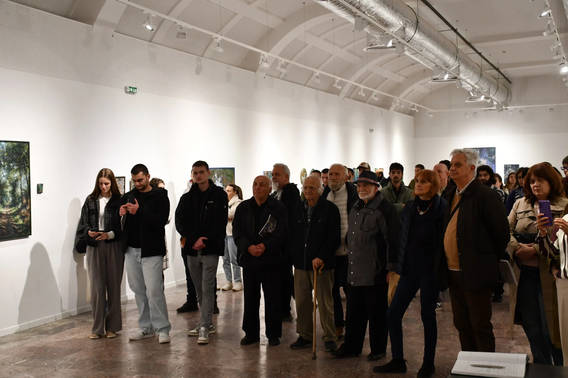 Скаменети потези