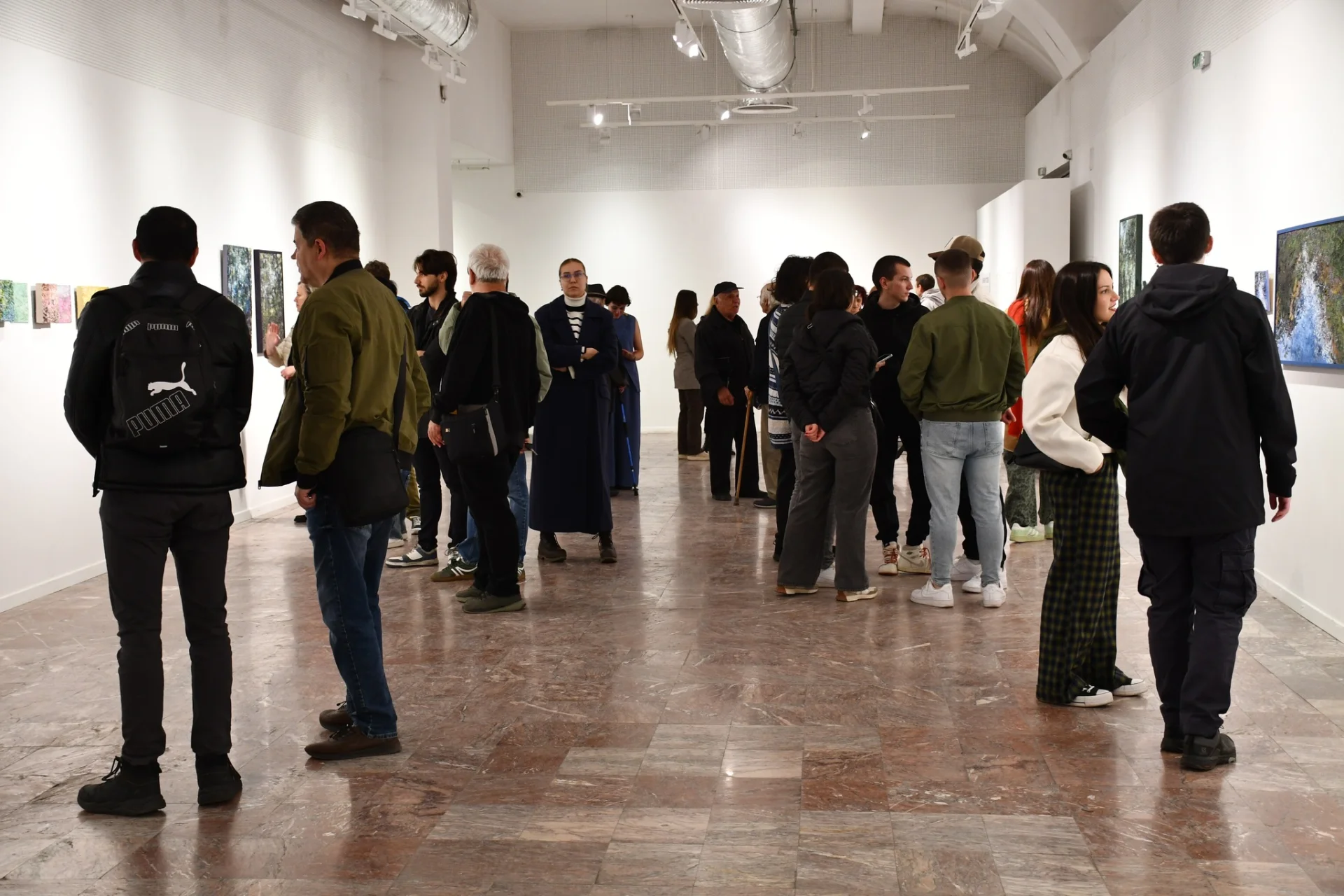 Скаменети потези