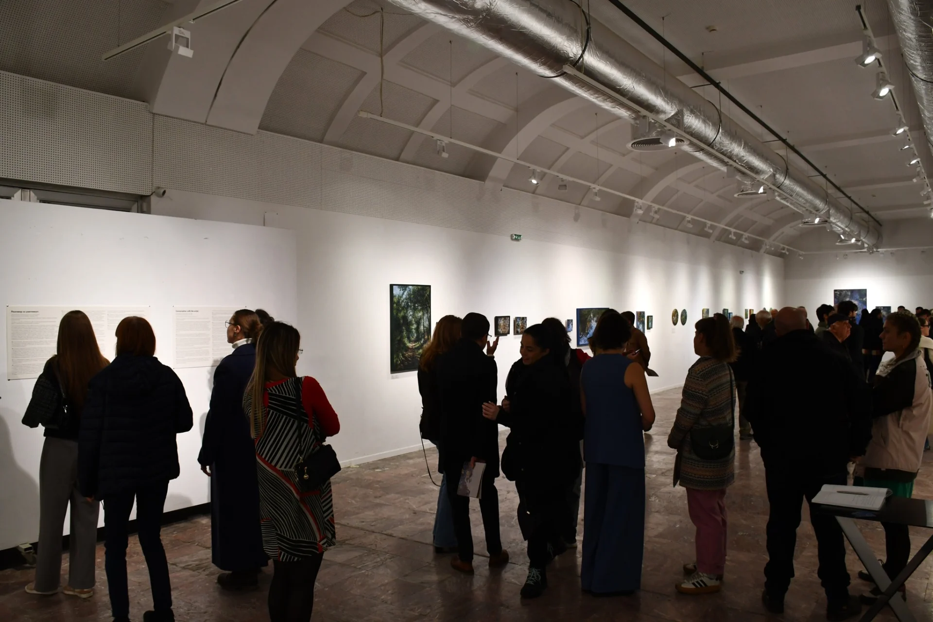 Скаменети потези